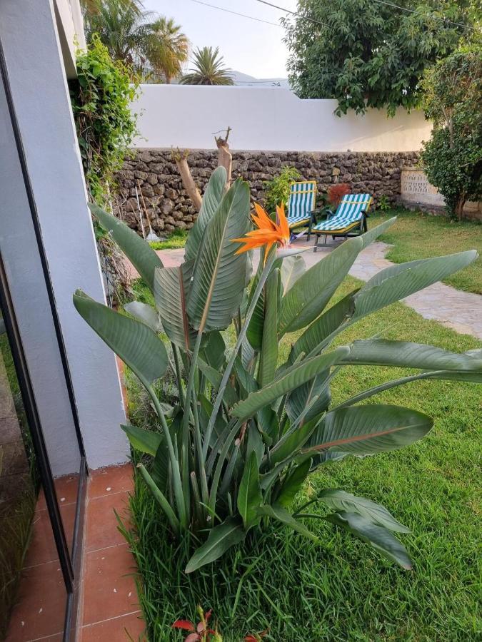 La Casa De Lucy & Karin Villa ลาโอโรตาวา ภายนอก รูปภาพ